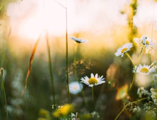 Embracing New Beginnings