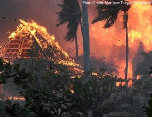 Urgent Prayer Alert: Maui Wildfires