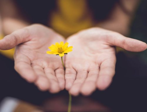 Generosity