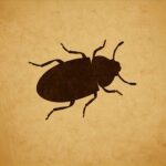 Preventing Grease Bugs of the Soul