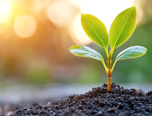 Seeds of Hope