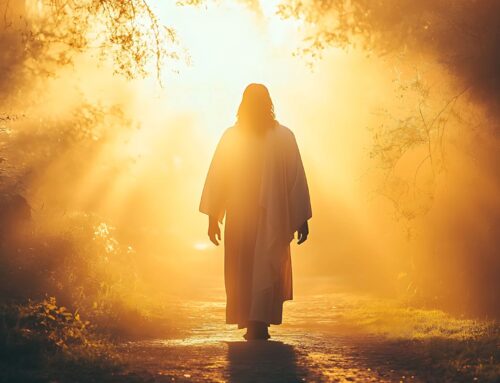 Jesus: The Way, the Truth, and The Life
