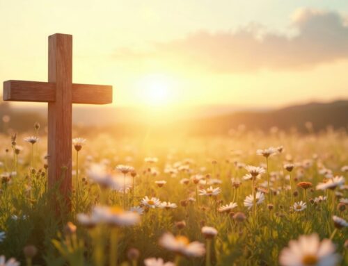 Growing in God’s Light