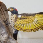 Carving Ducks and Christians