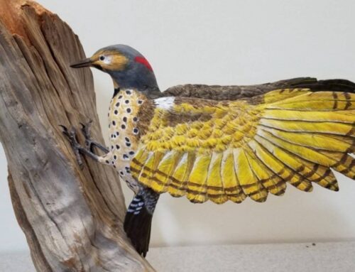 Carving Ducks and Christians
