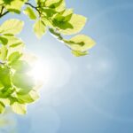 Summary of June CBC Executive Board Meeting
