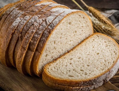 Bread of Life