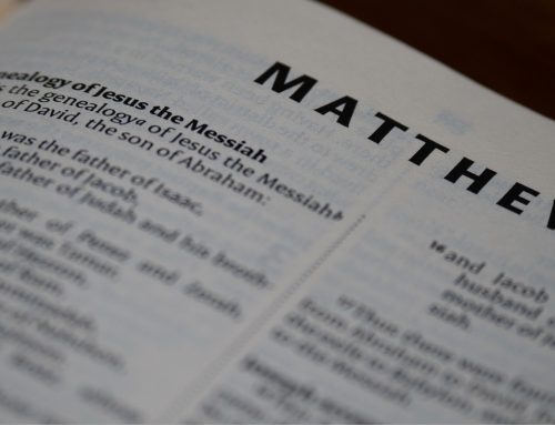 Our testimony… The best credential!!!