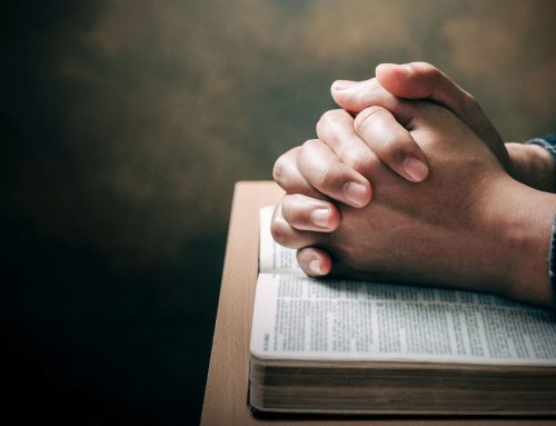 A Stewardship Update from Covenant Brethren Church